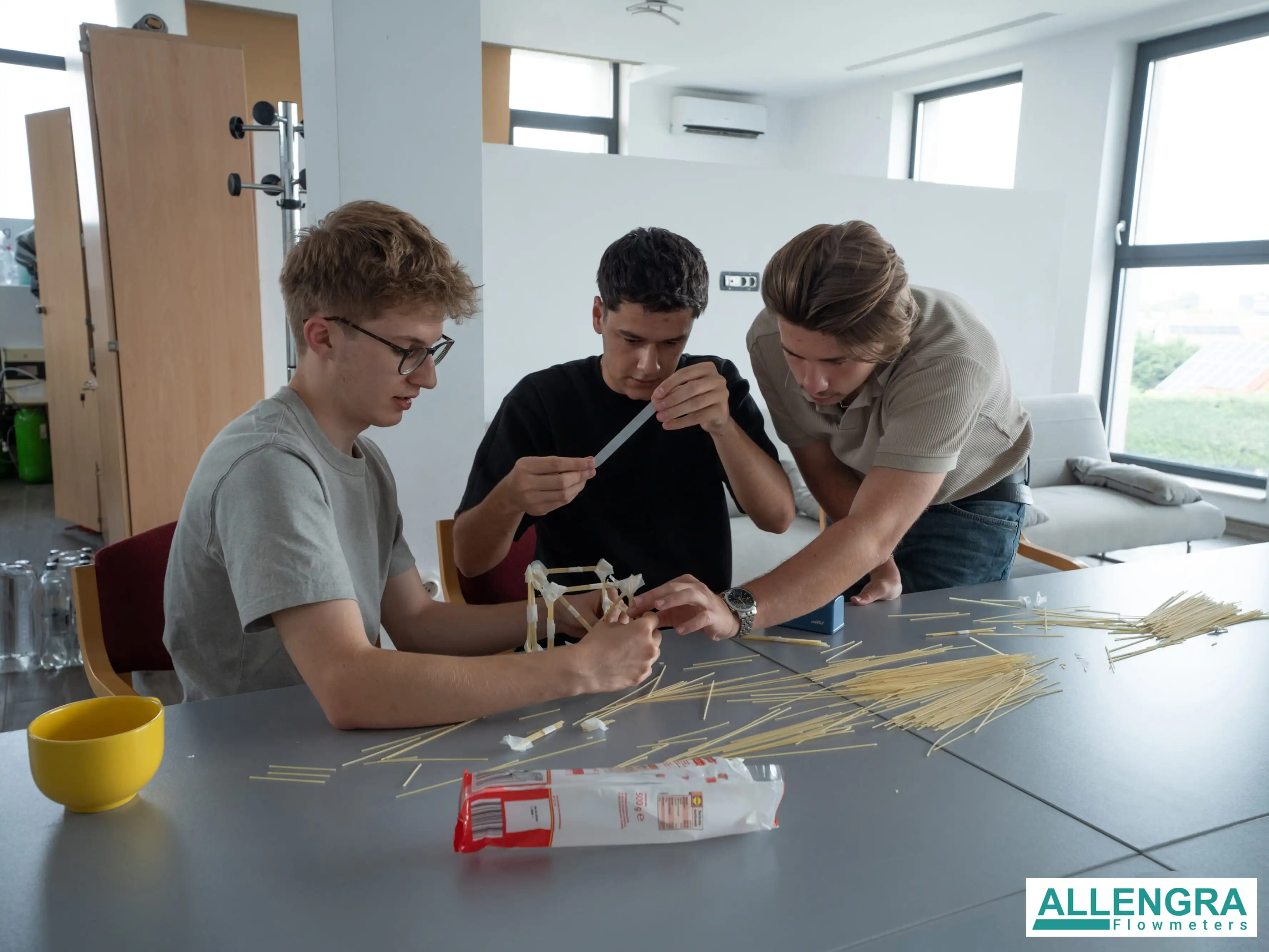 Internship at Allengra