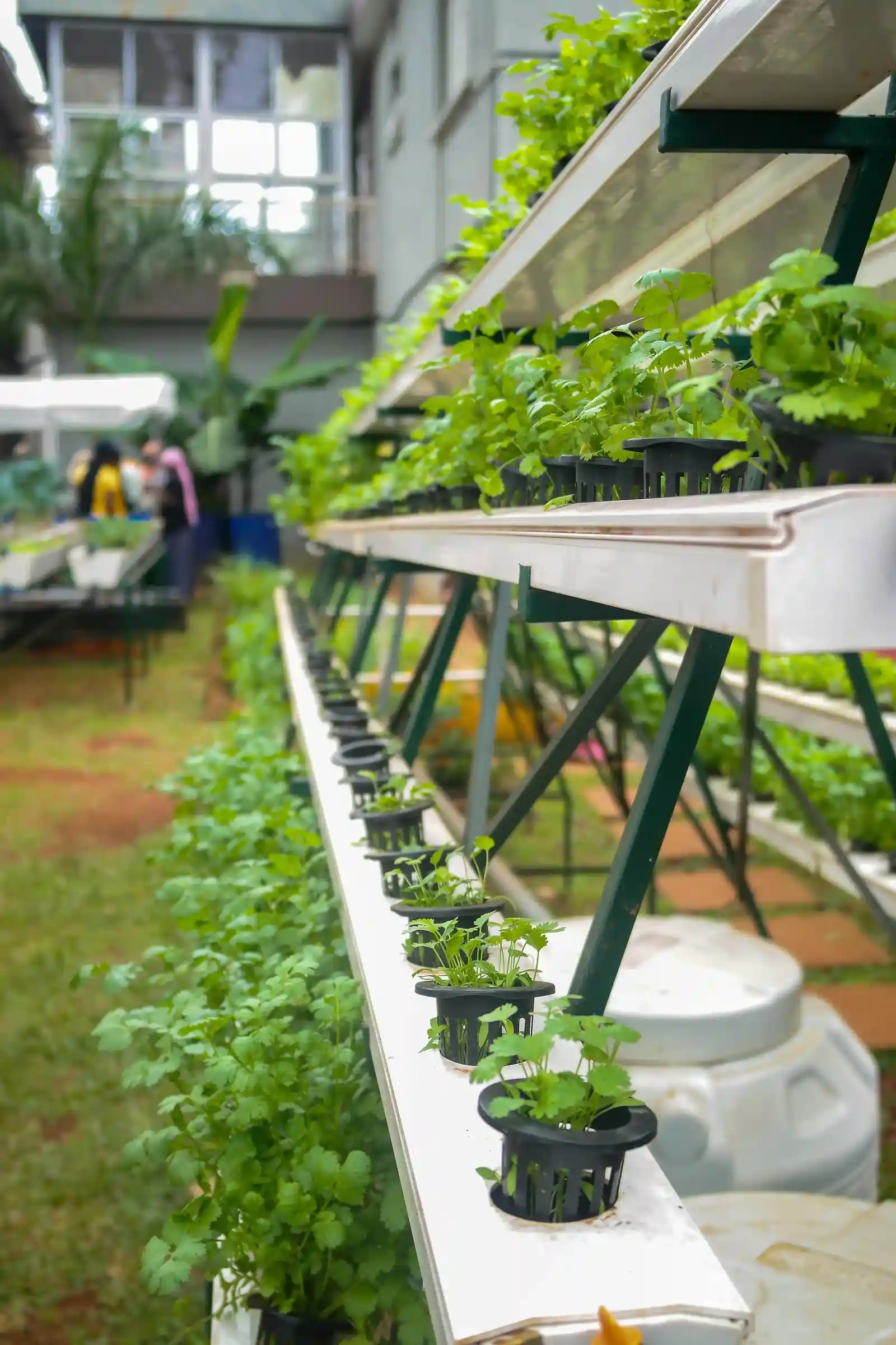 Vertical farming