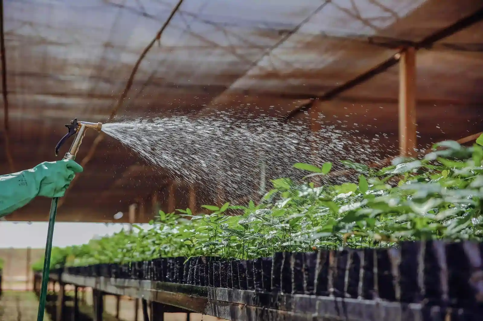Fertigation