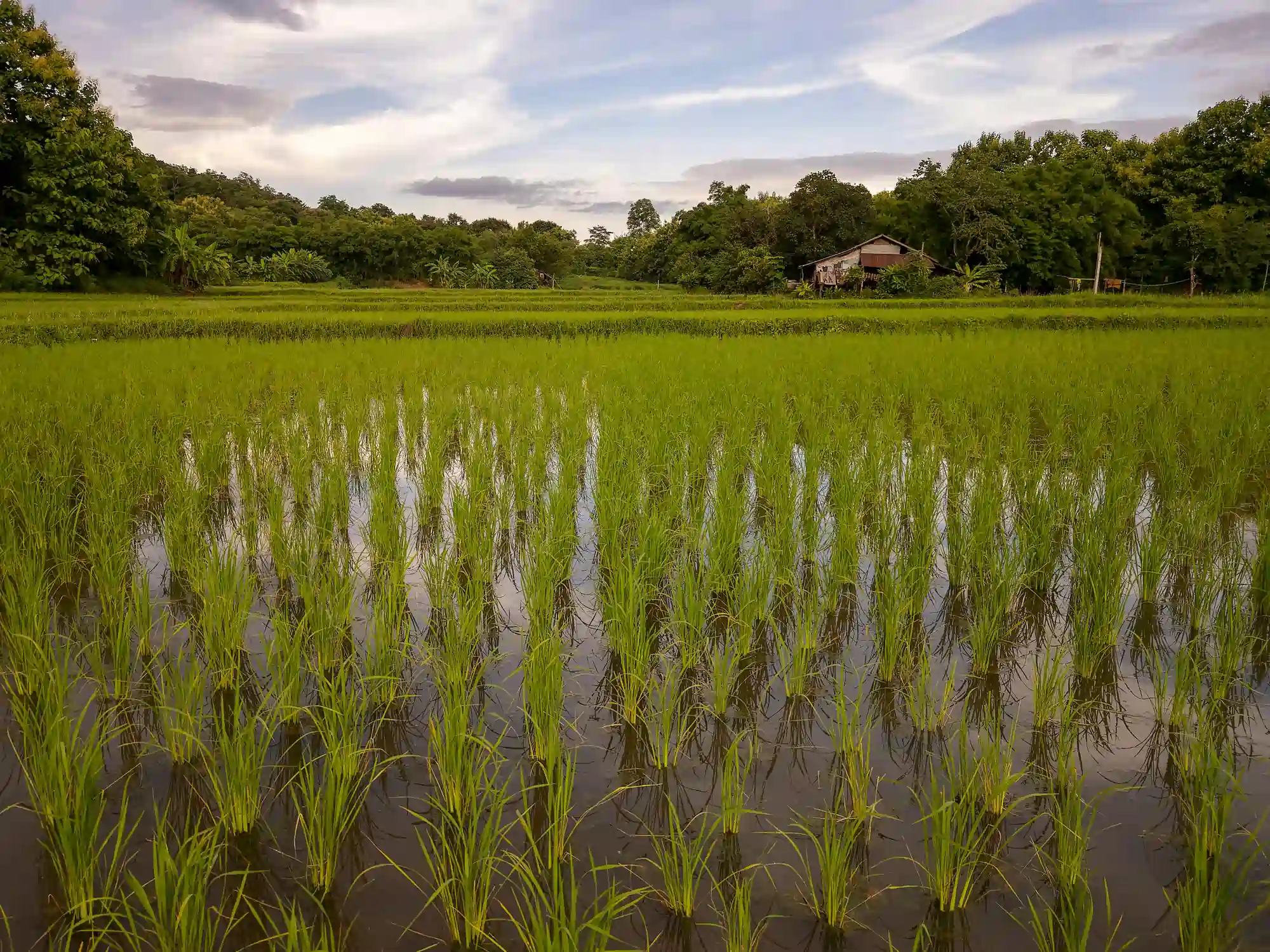 Mesurer tout type de liquide