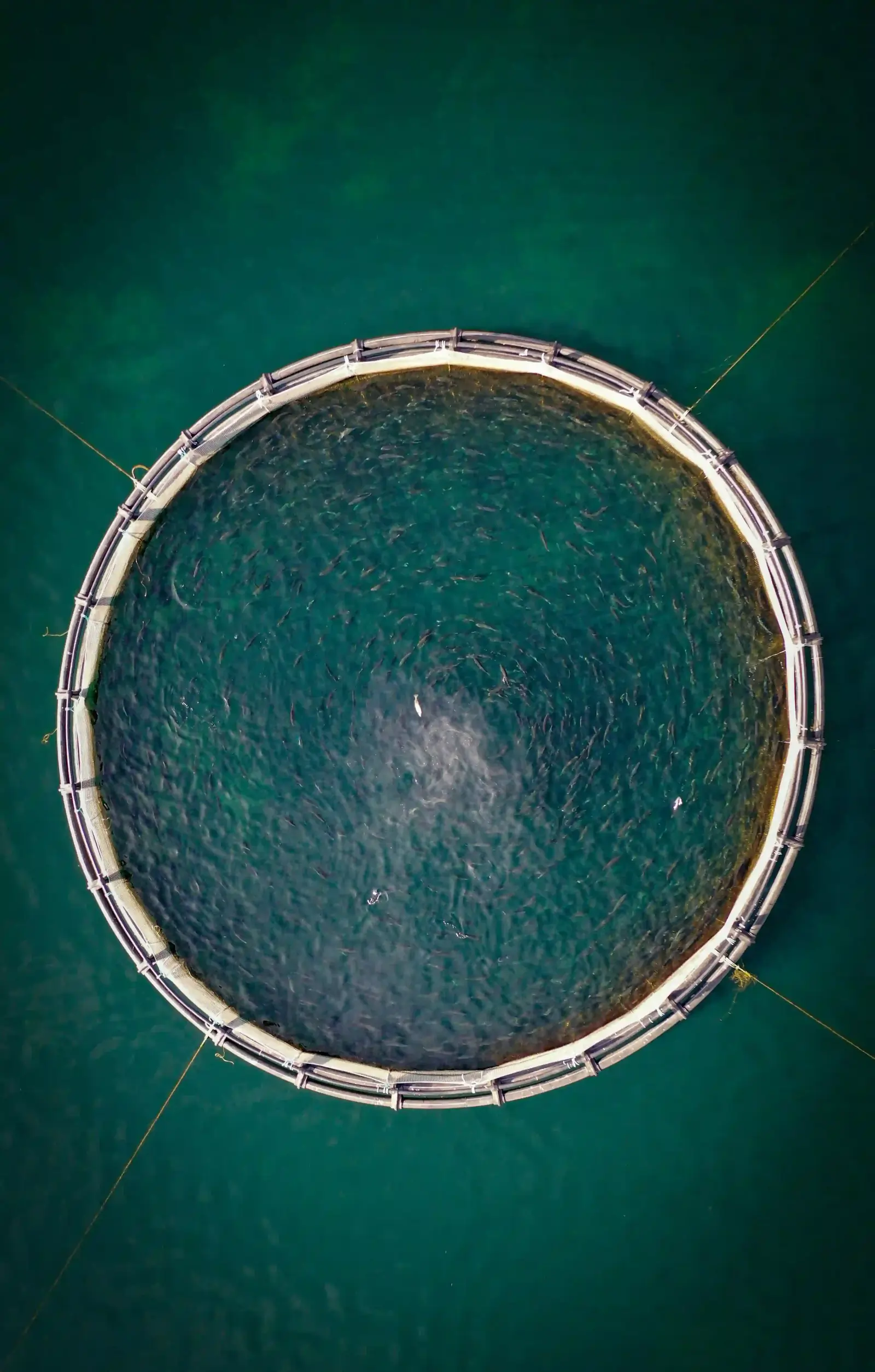 Aquaculture